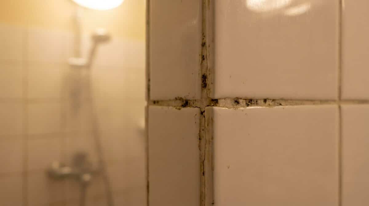 badkamer: deze 'brandschoon in 5 minuten'-routine beschadigt je voegen en verklaart de muffe geur in huis. ontdek waarom snel schoonmaken soms meer kwaad dan goed doet en leer hoe je je badkamer fris houdt zonder schade.