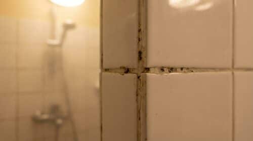 badkamer: deze 'brandschoon in 5 minuten'-routine beschadigt je voegen en verklaart de muffe geur in huis. ontdek waarom snel schoonmaken soms meer kwaad dan goed doet en leer hoe je je badkamer fris houdt zonder schade.